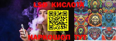 винт Новодвинск