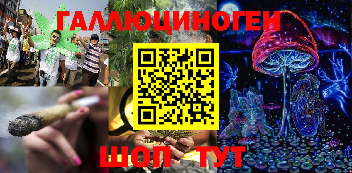 как найти   Псилоцибиновые грибы Psilocybe  Вход с VPN  Старая Купавна  Галлюциногенные грибы Magic Shrooms 