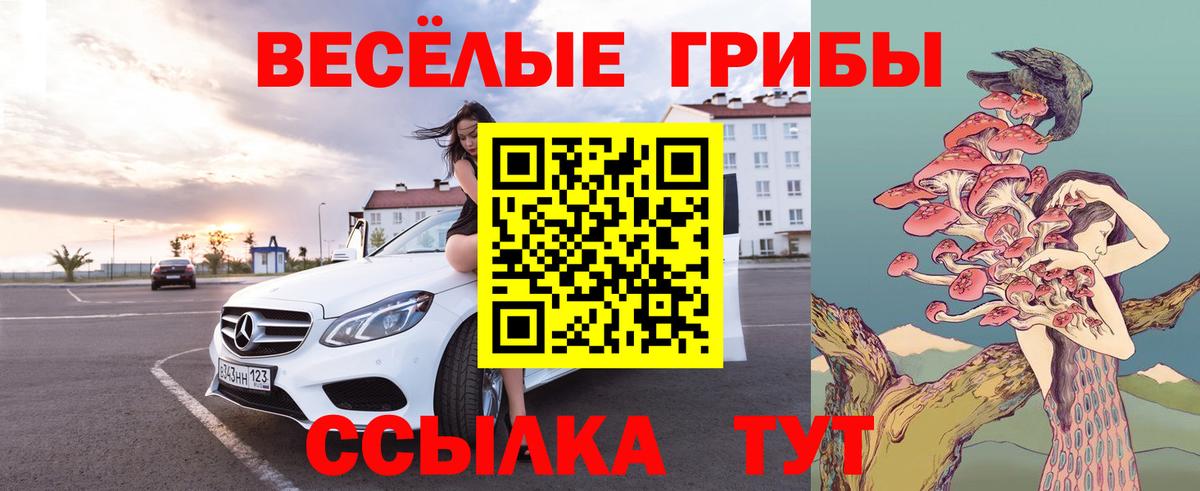 Псилоцибиновые грибы ЛСД Старая Купавна